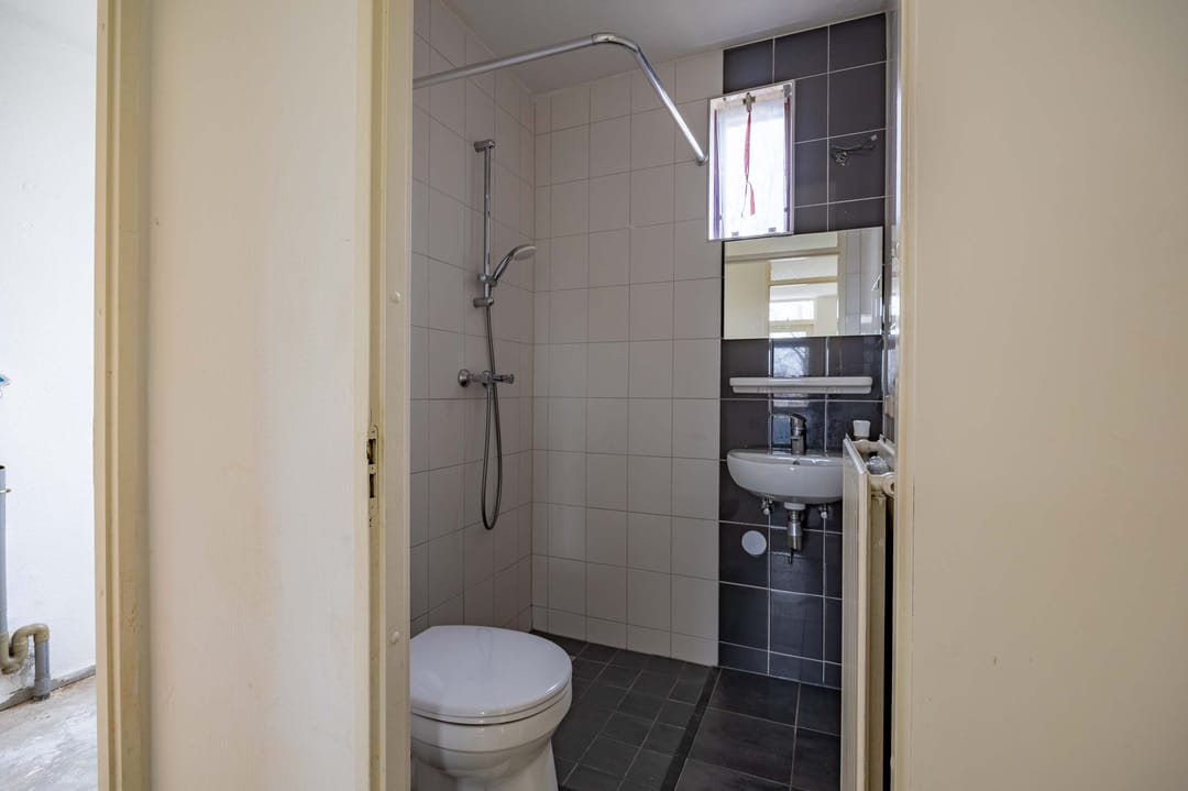 Photo 11 of Akelei 54