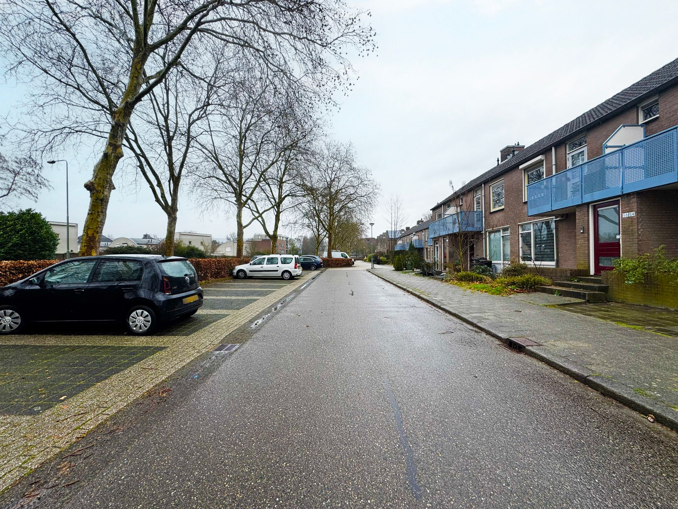 Photo 12 of Akelei 54