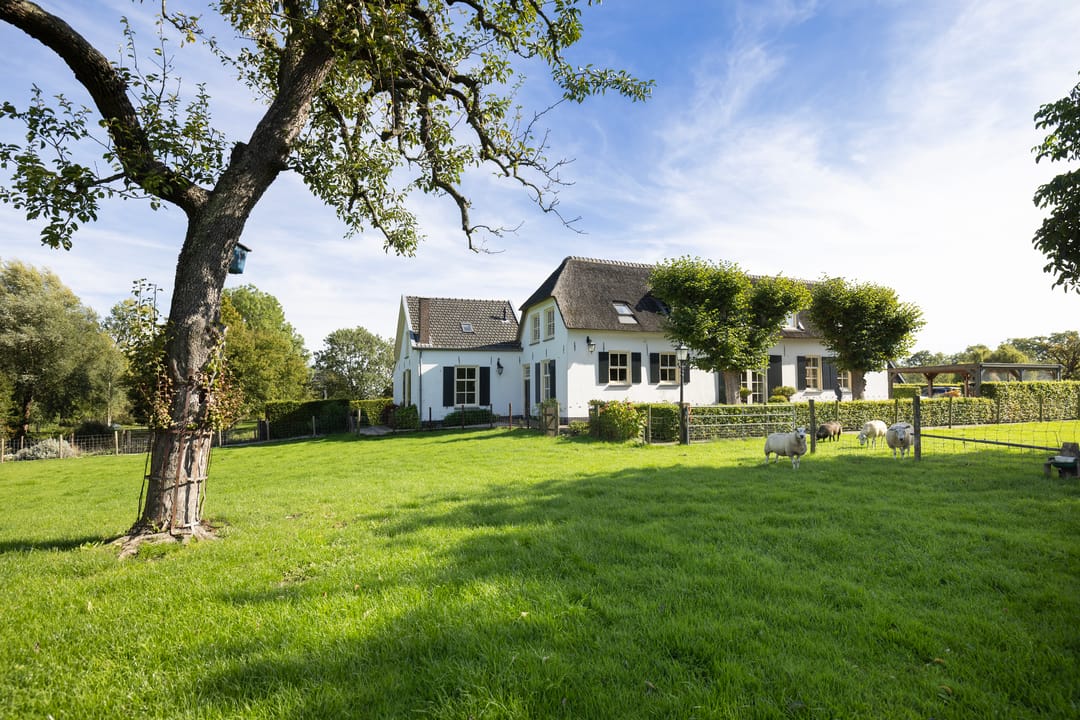 Foto 41 van Koningslaan 7