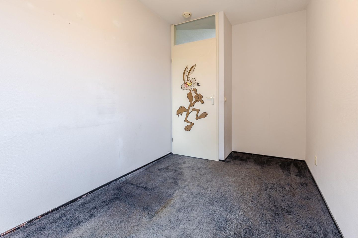 Foto 25 van Strevelsweg 954