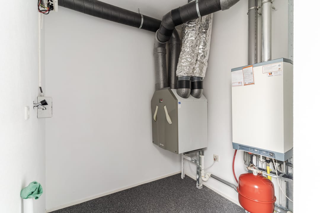 Photo 52 of De Terpen 5