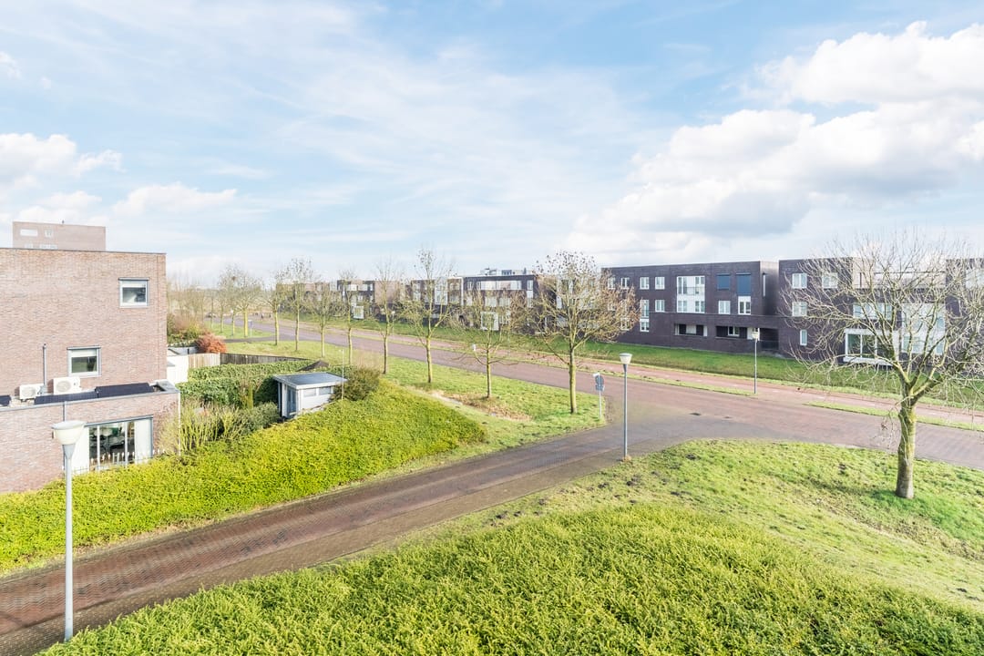 Photo 56 of De Terpen 5