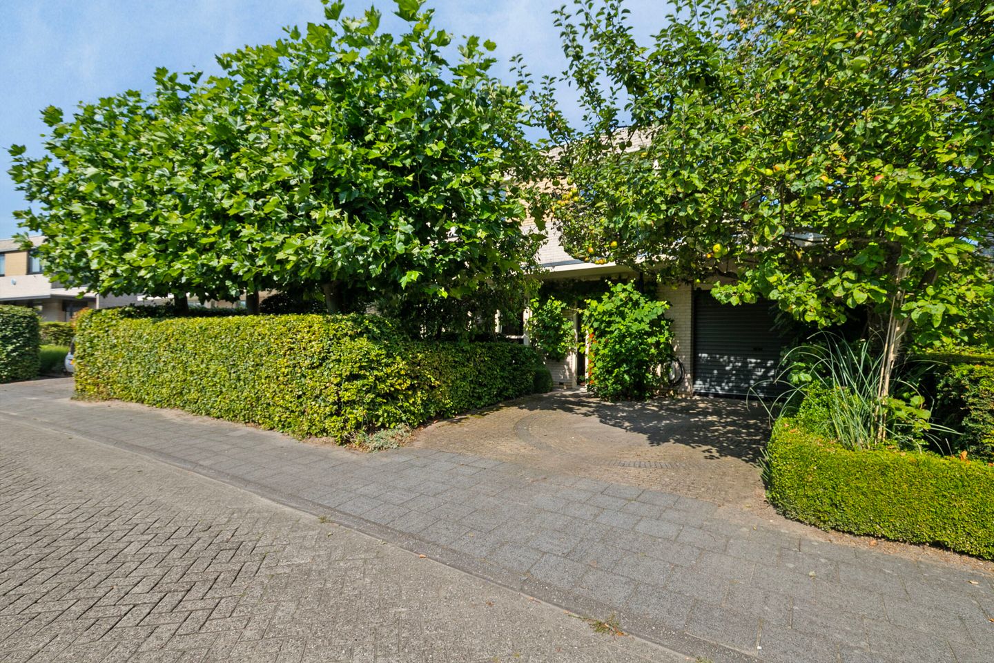 Foto 5 van Kloosring 26