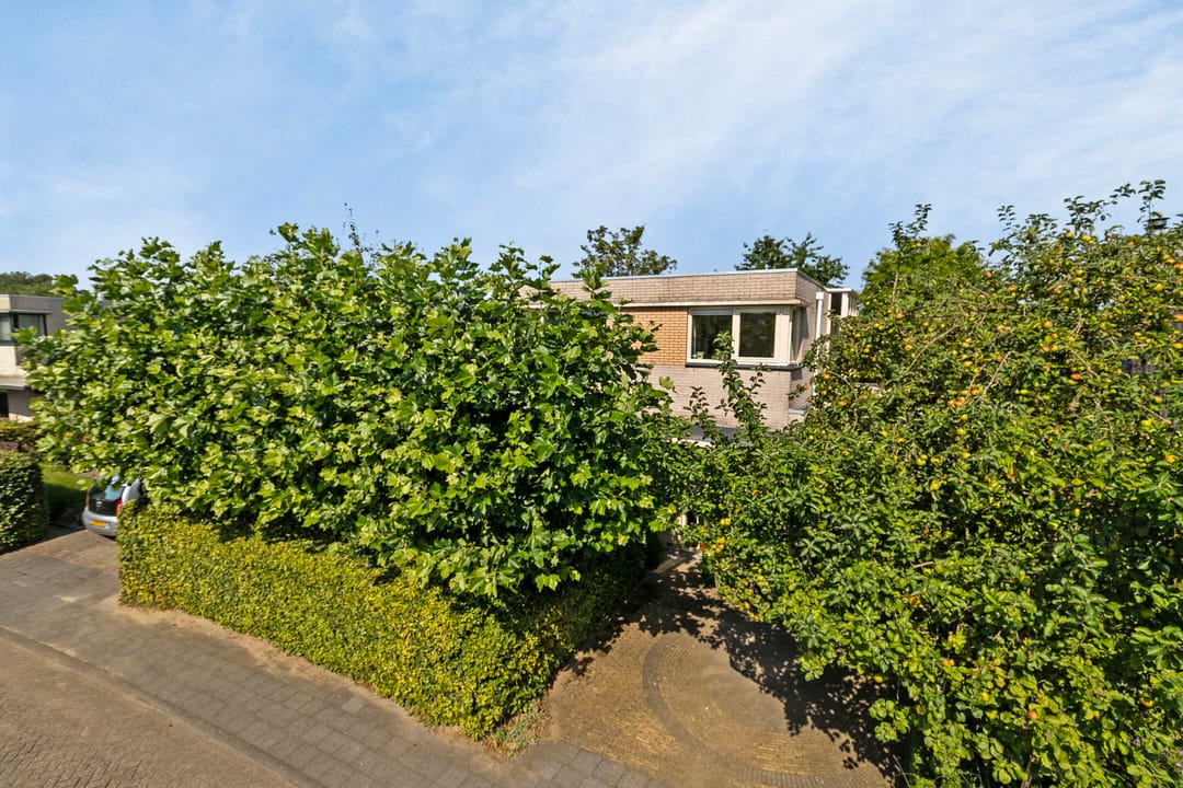 Foto 7 van Kloosring 26