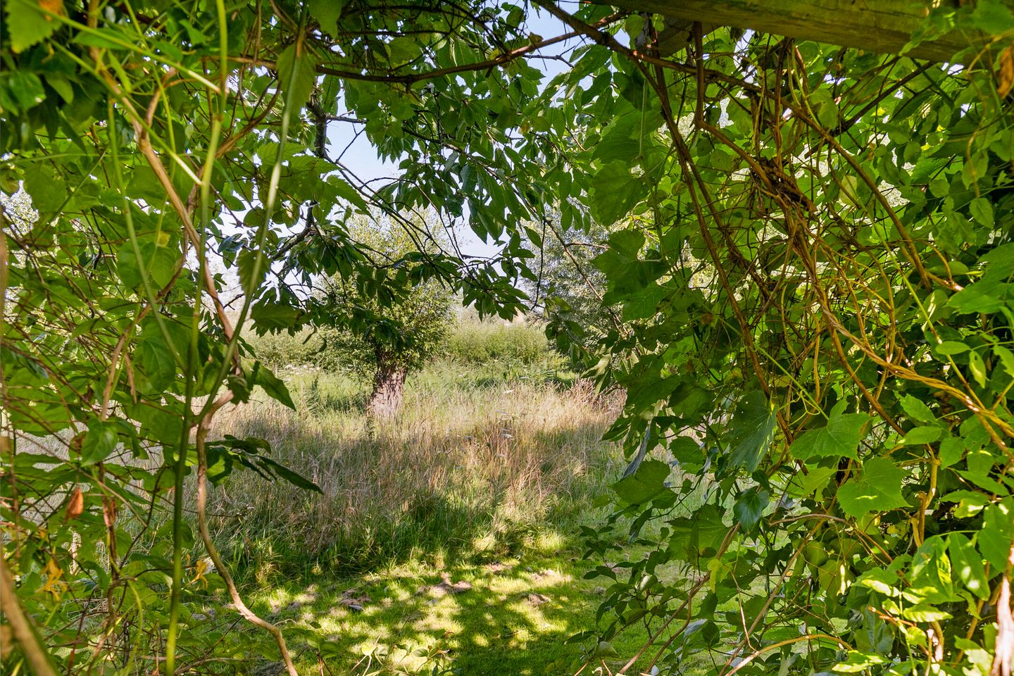 Foto 34 van Kloosring 26