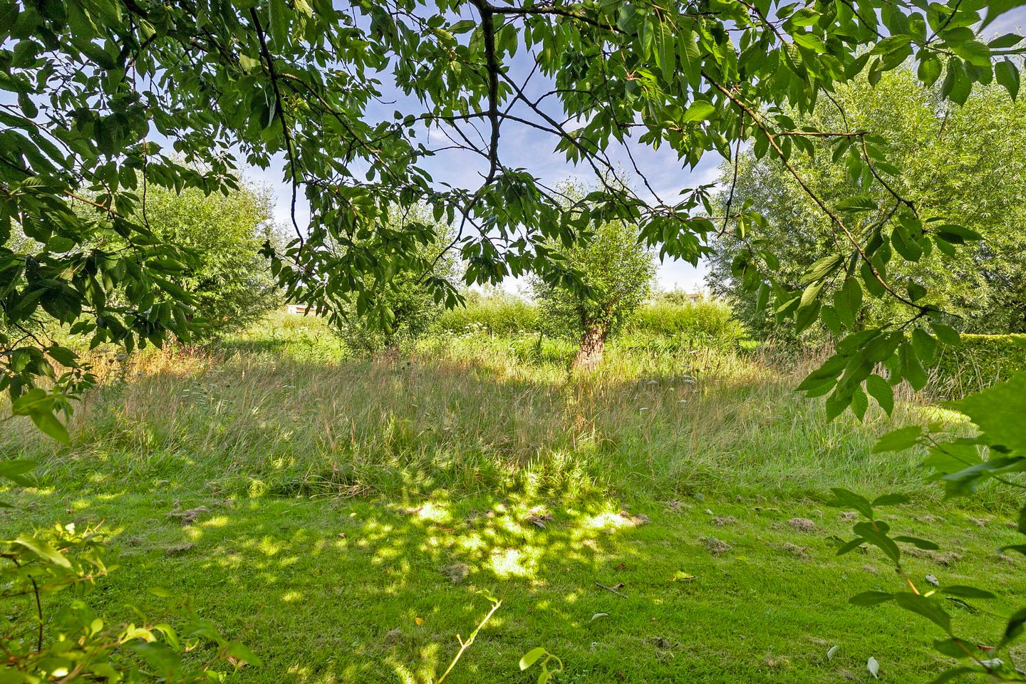 Foto 35 van Kloosring 26