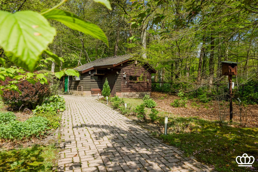 Luxury Villa with Indoor Pool and Wellness Facilities in Wooded Kapellen Setting — 43