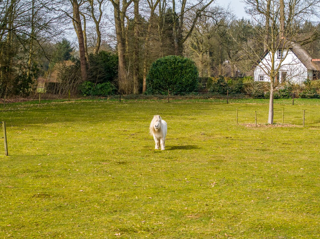 Foto 41 van De Leemkuil 9