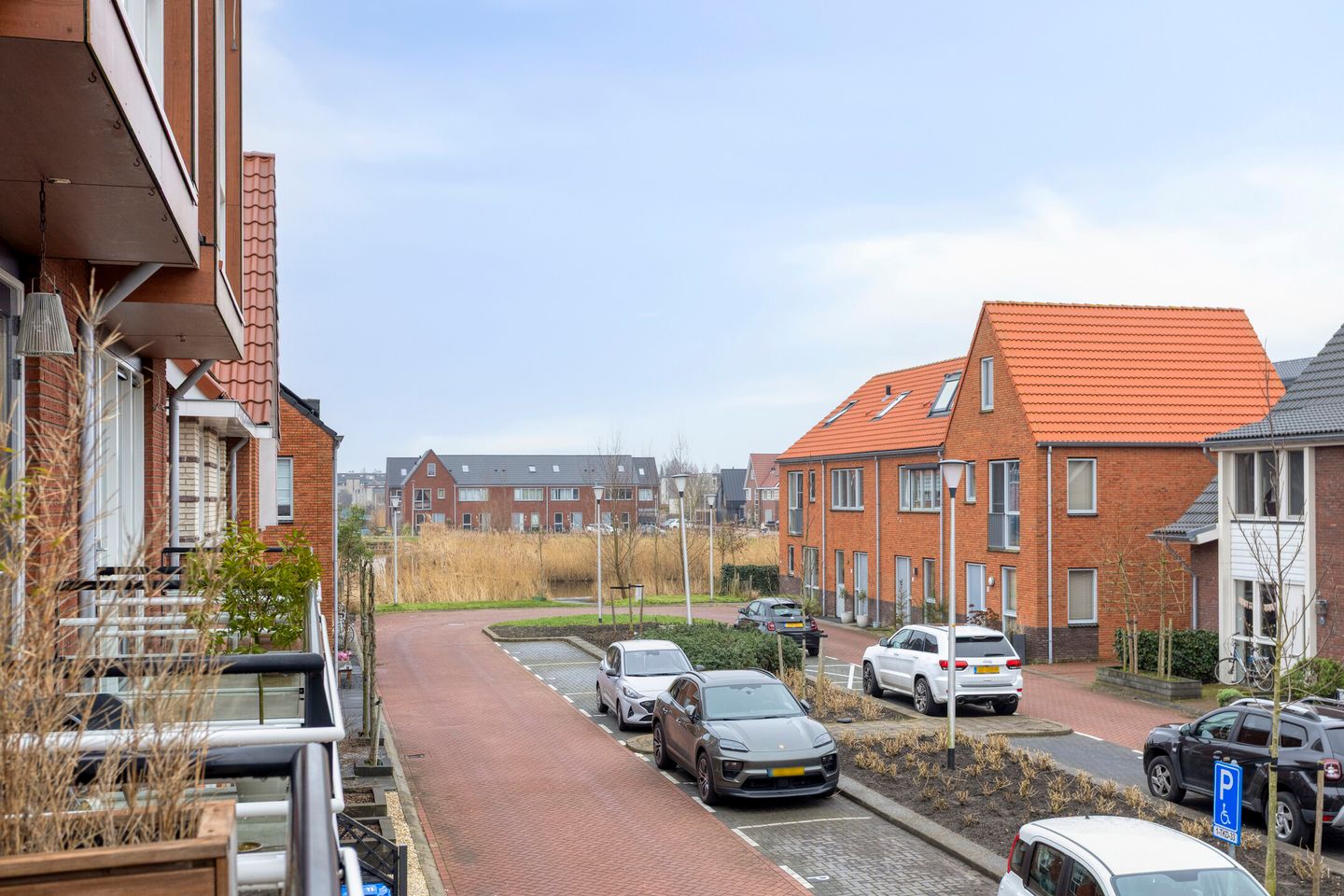 Foto 19 van Kweepeer 17