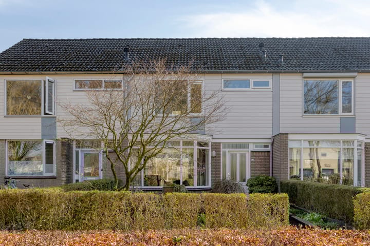 Foto 4 van Albrecht Rodenbachplein 44