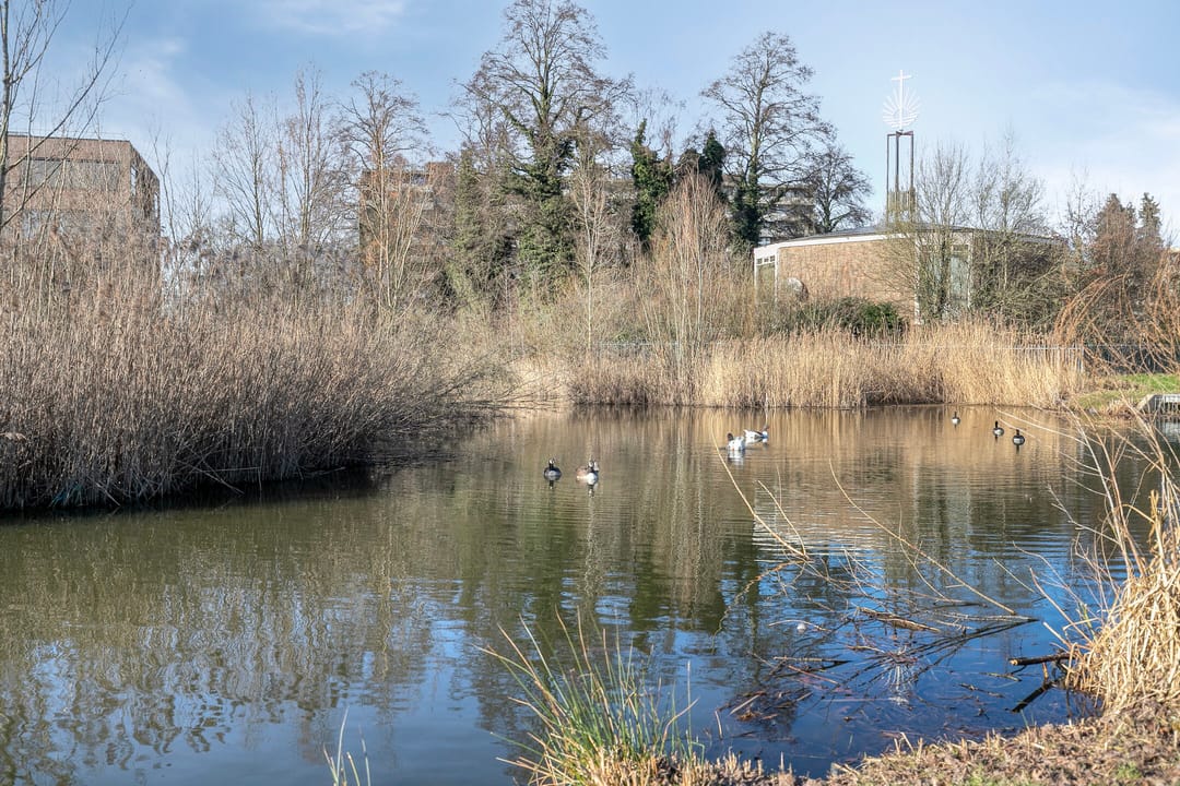 Foto 37 van Prins Hendrikstraat 42-E