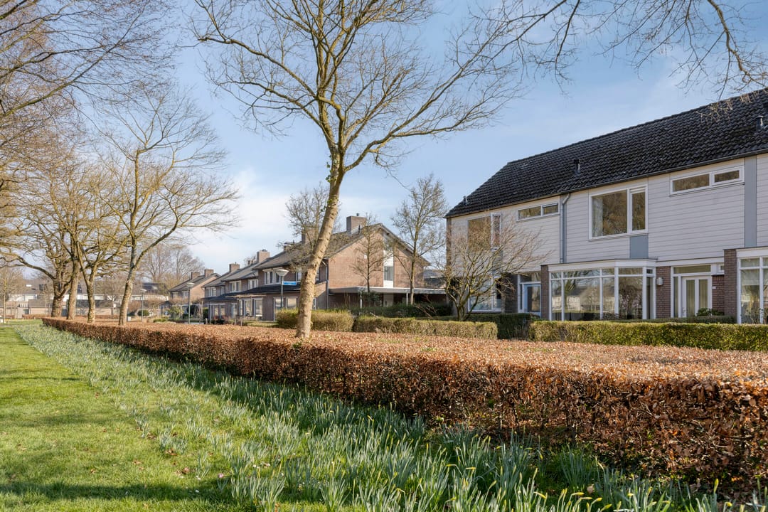 Foto 46 van Albrecht Rodenbachplein 44