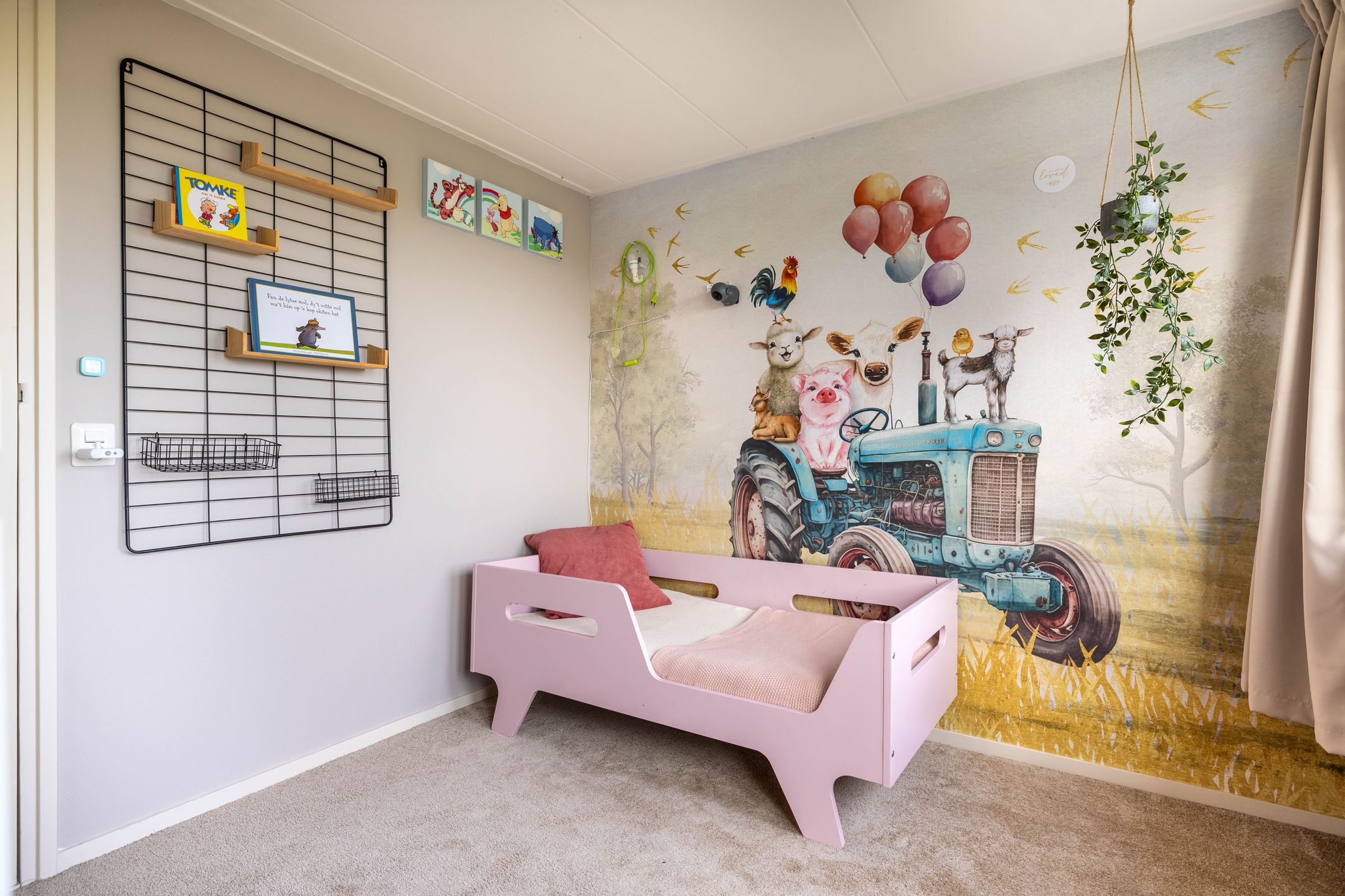 Foto 42 van Hegedyk 9