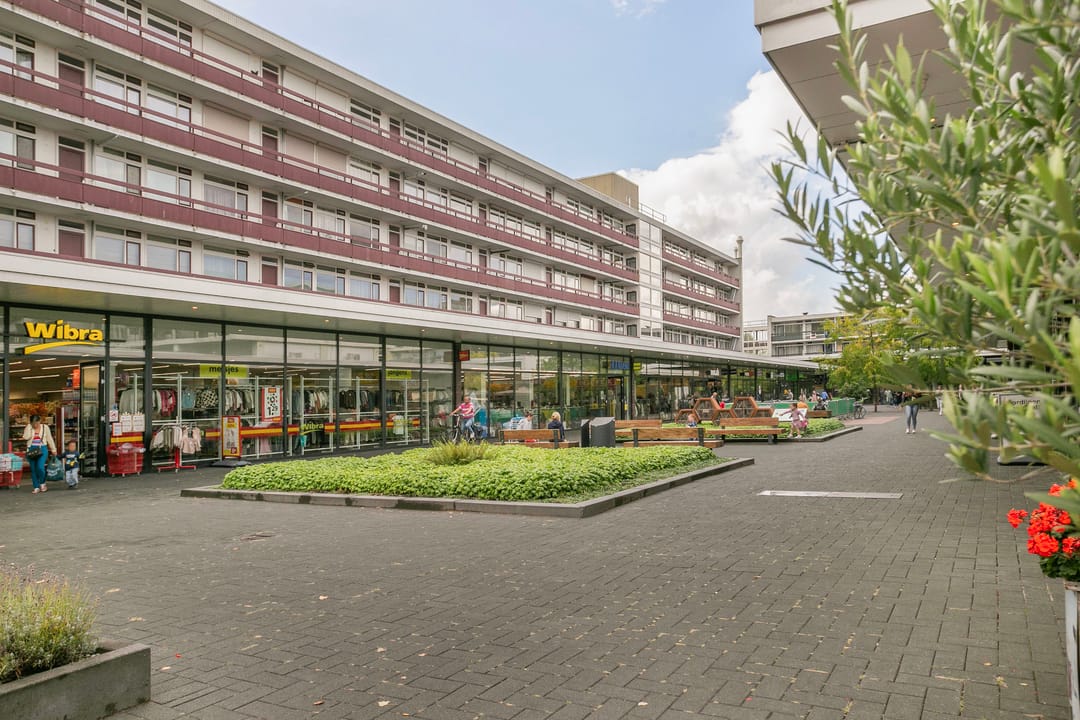 Foto 22 van Van Borselenstraat 24