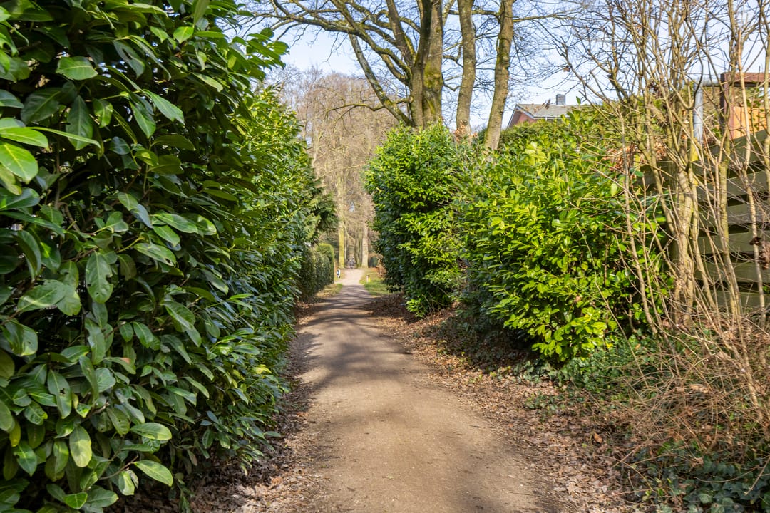 Photo 53 of Tolhuislaan 5