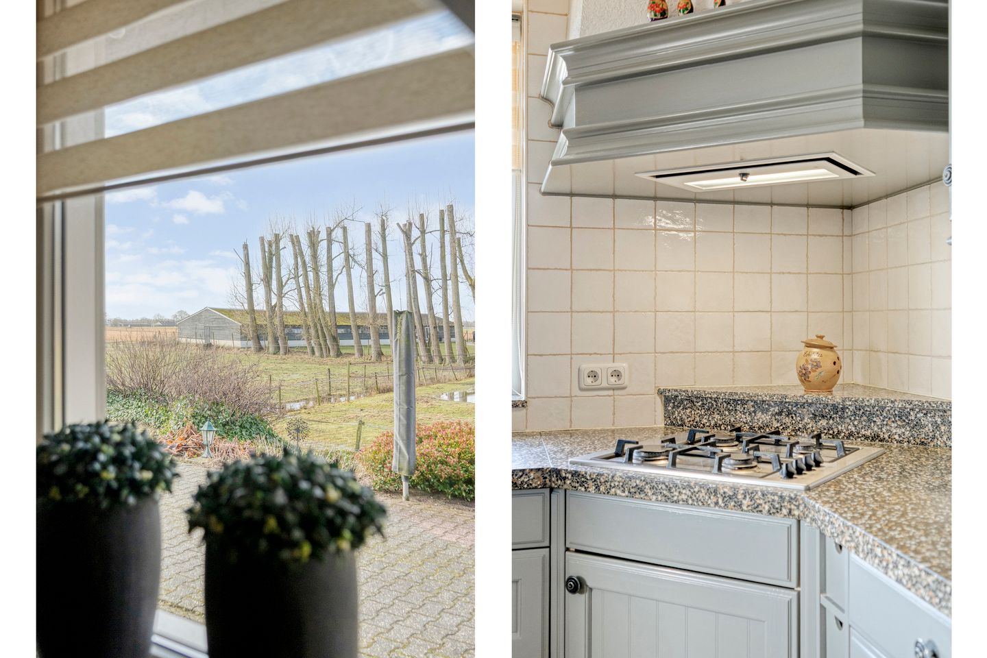 Foto 35 van Beerzerhaar 36-A