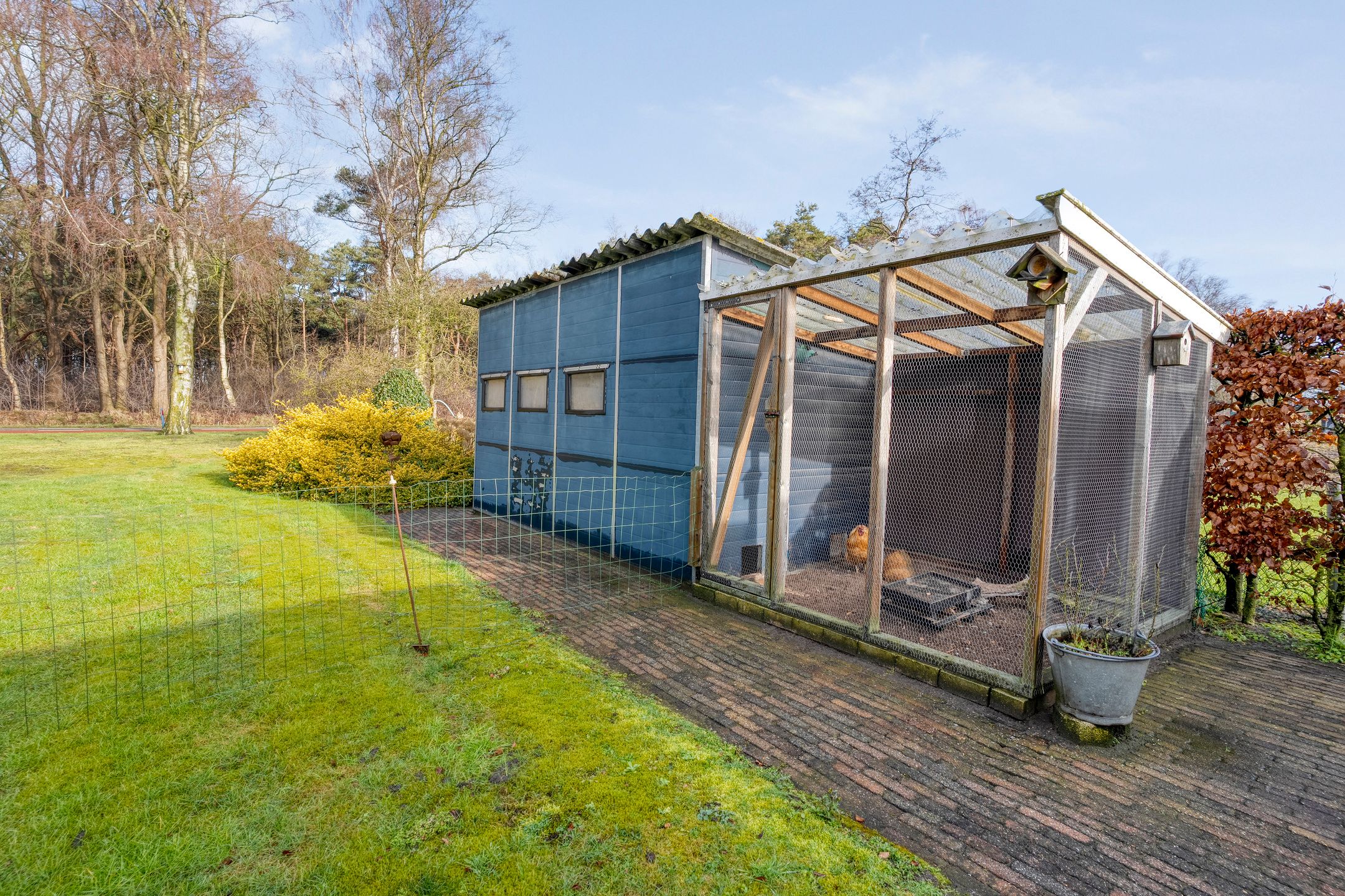 Foto 66 van Beerzerhaar 36-A