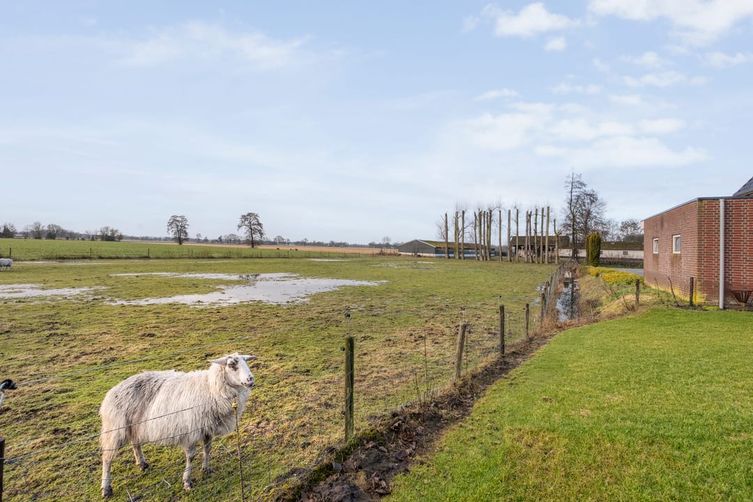 Foto 68 van Beerzerhaar 36-A