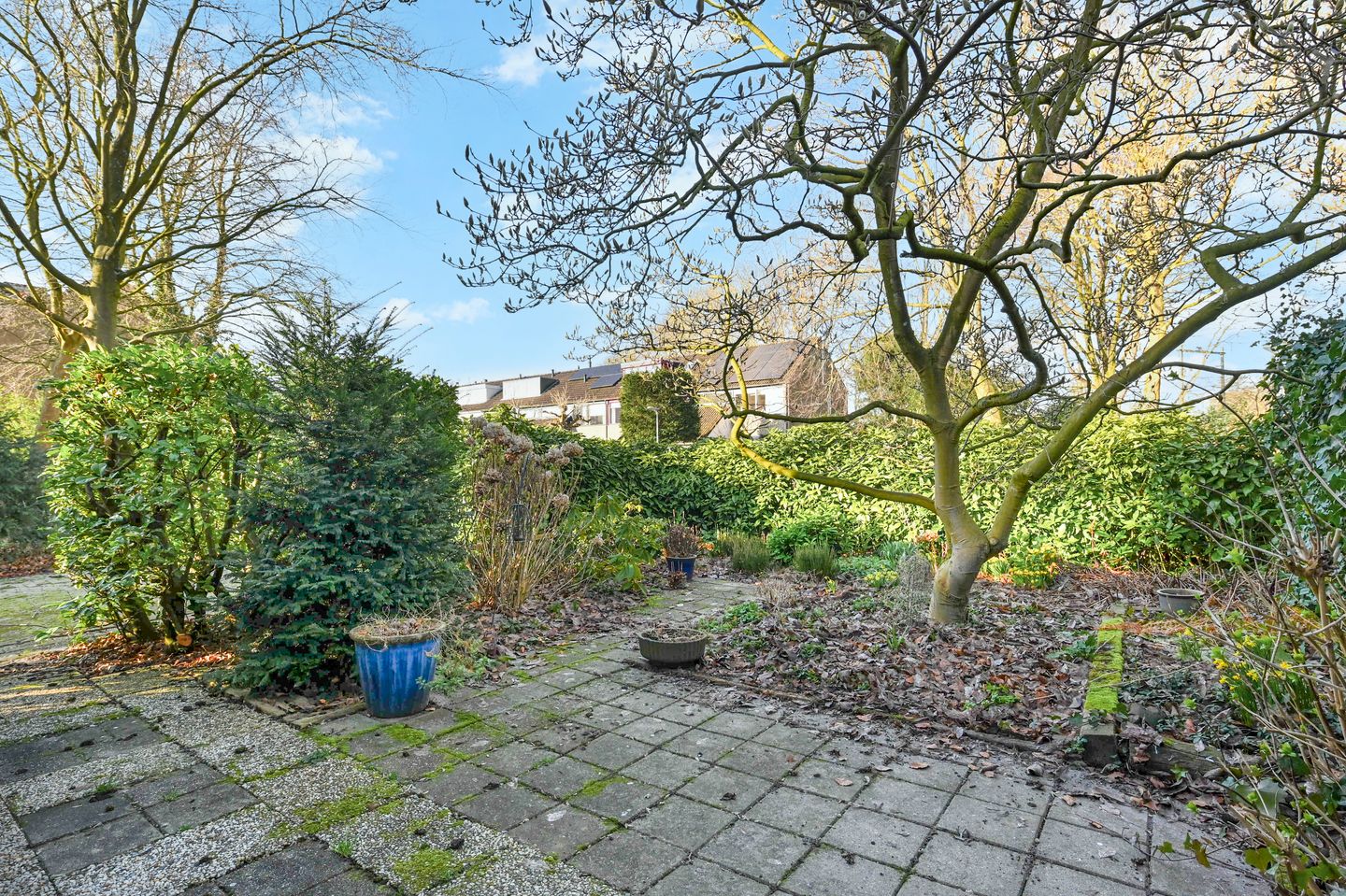 Photo 5 of Populierendreef 716