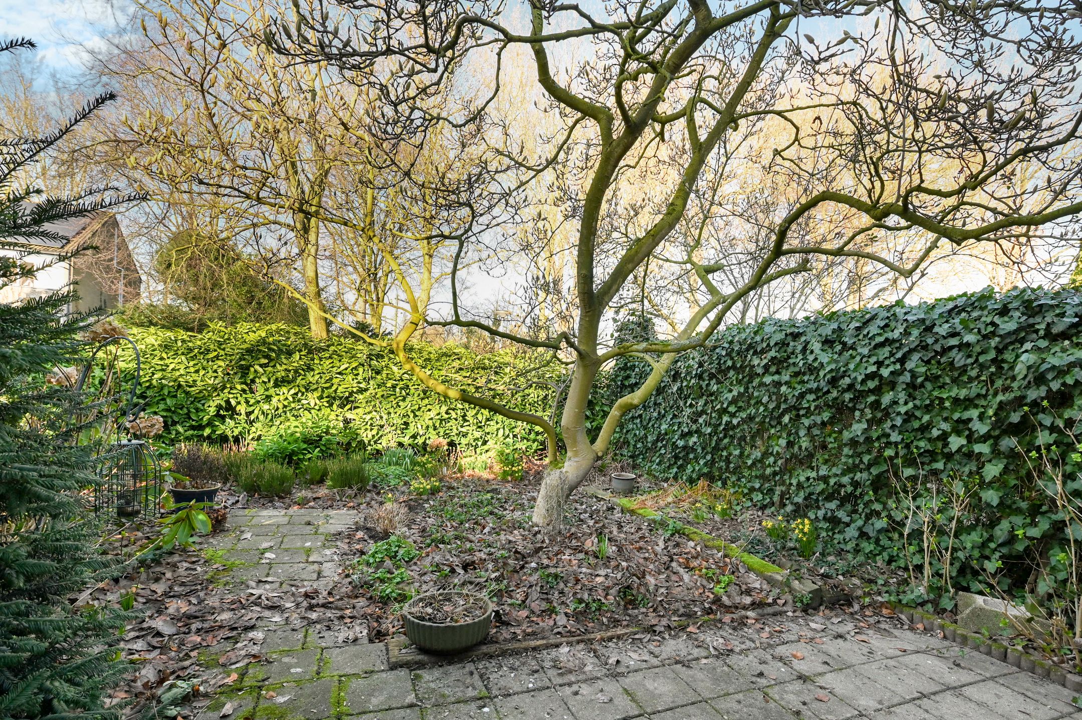 Photo 18 of Populierendreef 716