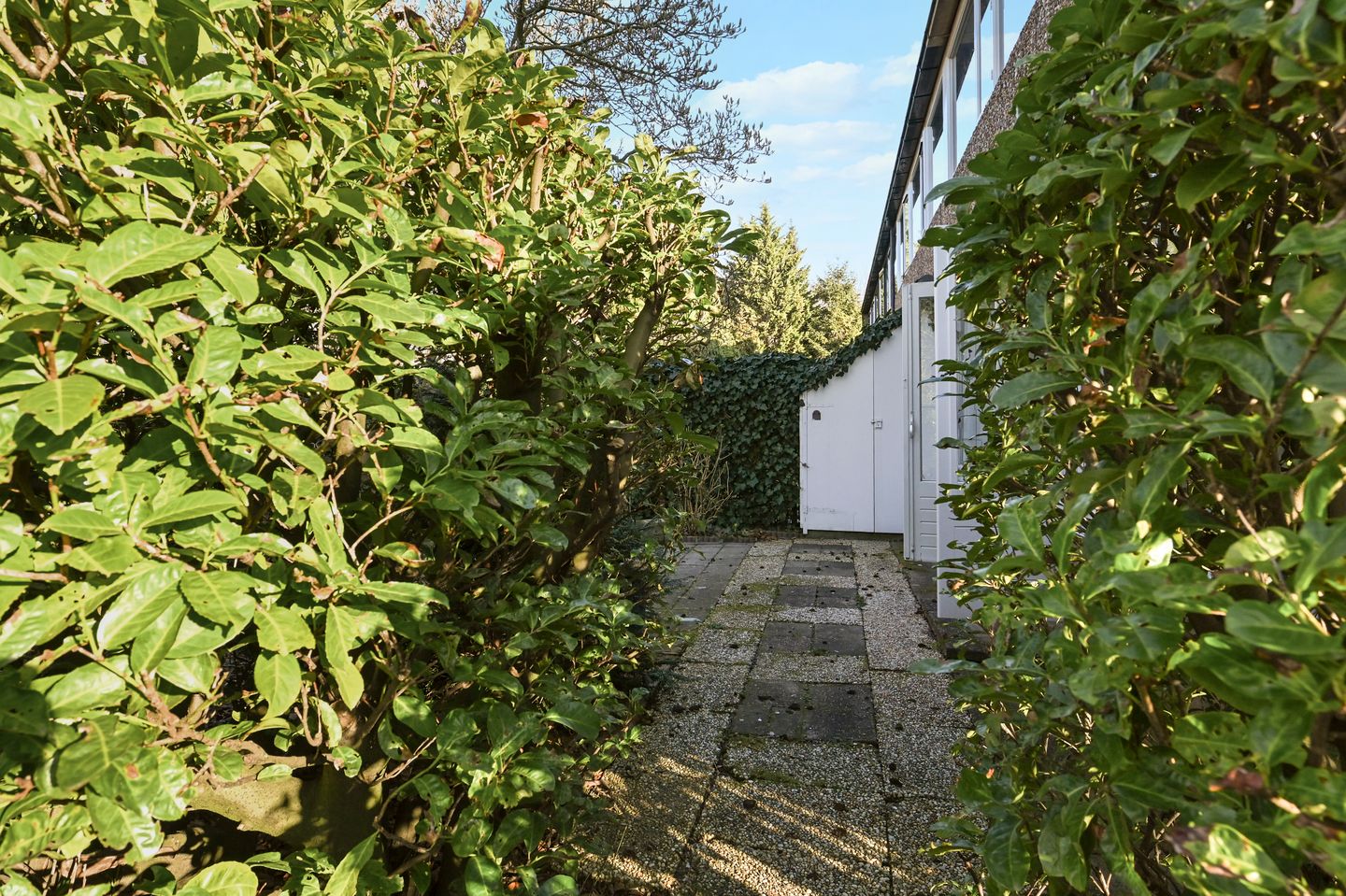 Photo 19 of Populierendreef 716