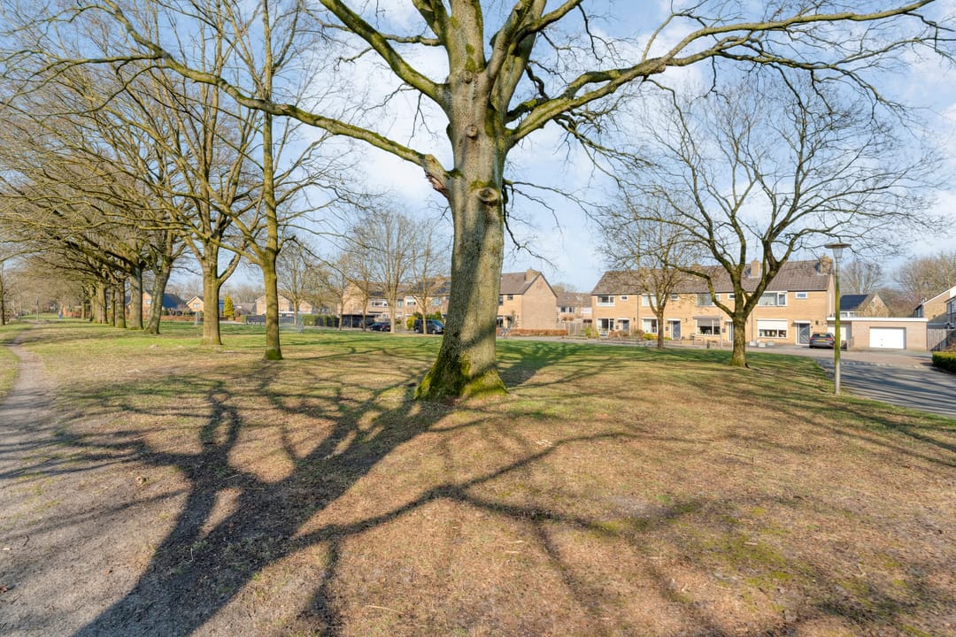 Foto 43 van E E G laan 8