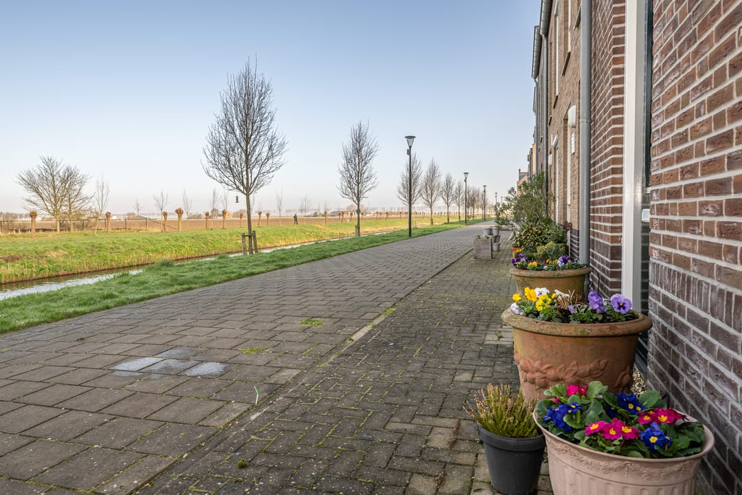 Foto 31 van Buitenring 28