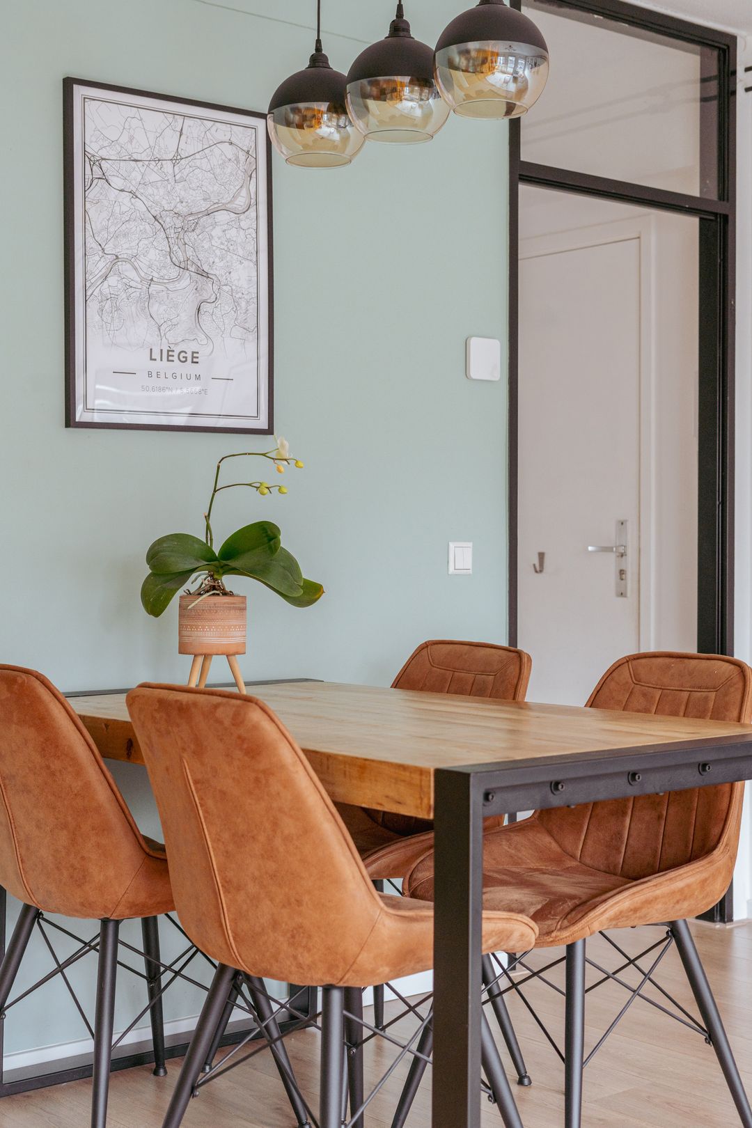 Foto 8 van Leeuwenhoekstraat 13