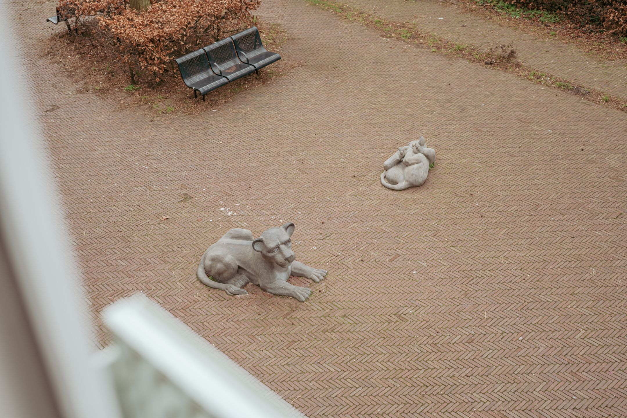 Foto 24 van Leeuwenhoekstraat 13