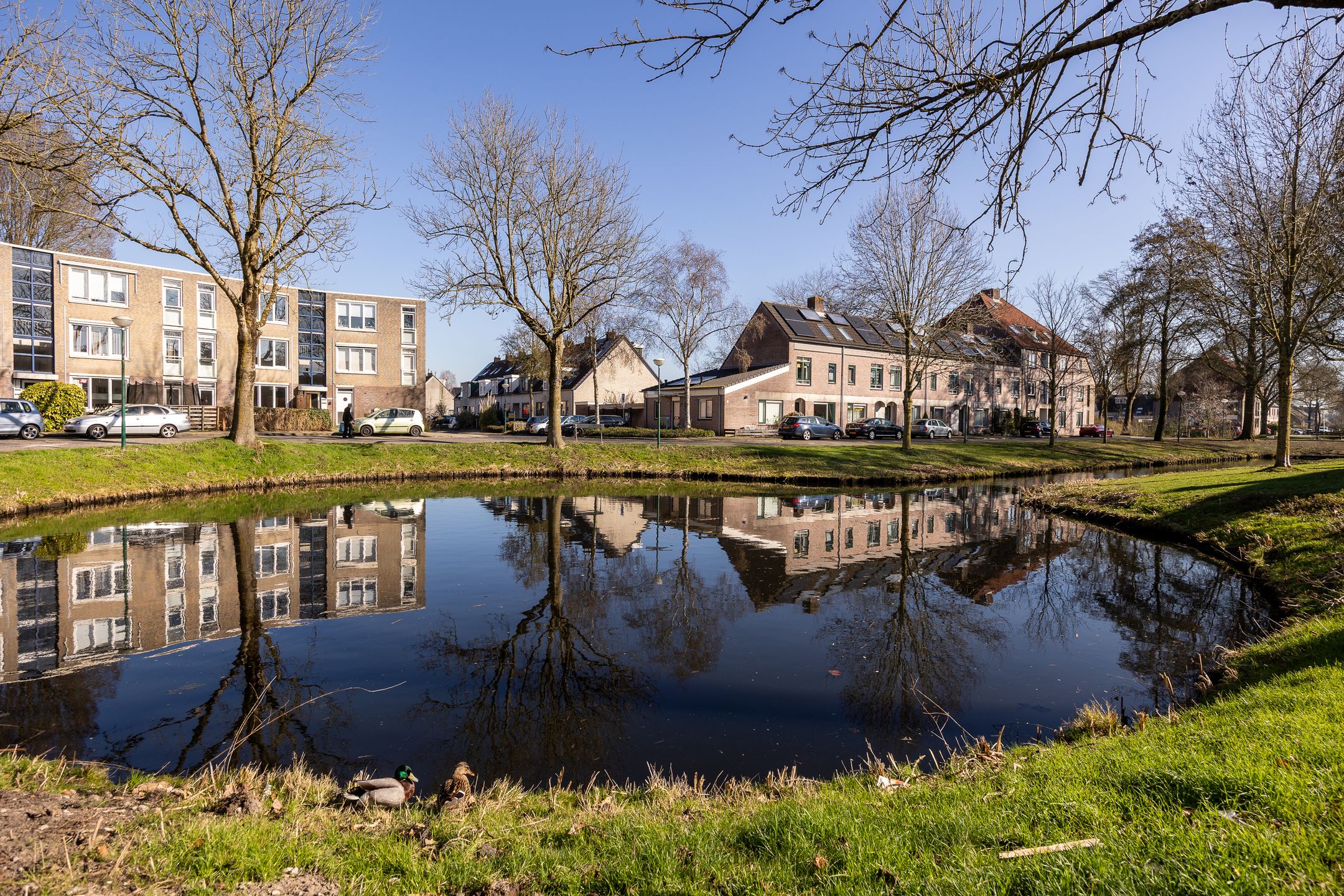 Photo 33 of Claverenbladstraat 133