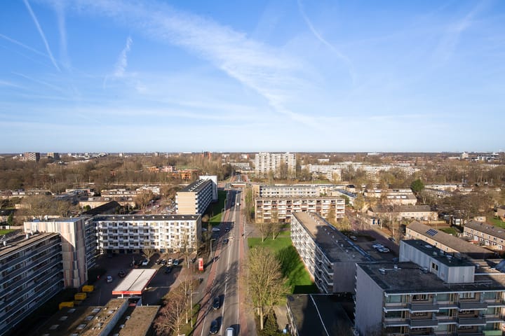 Groenhof 379 main image