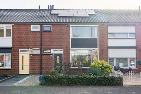 Tulpenstraat thumbnail