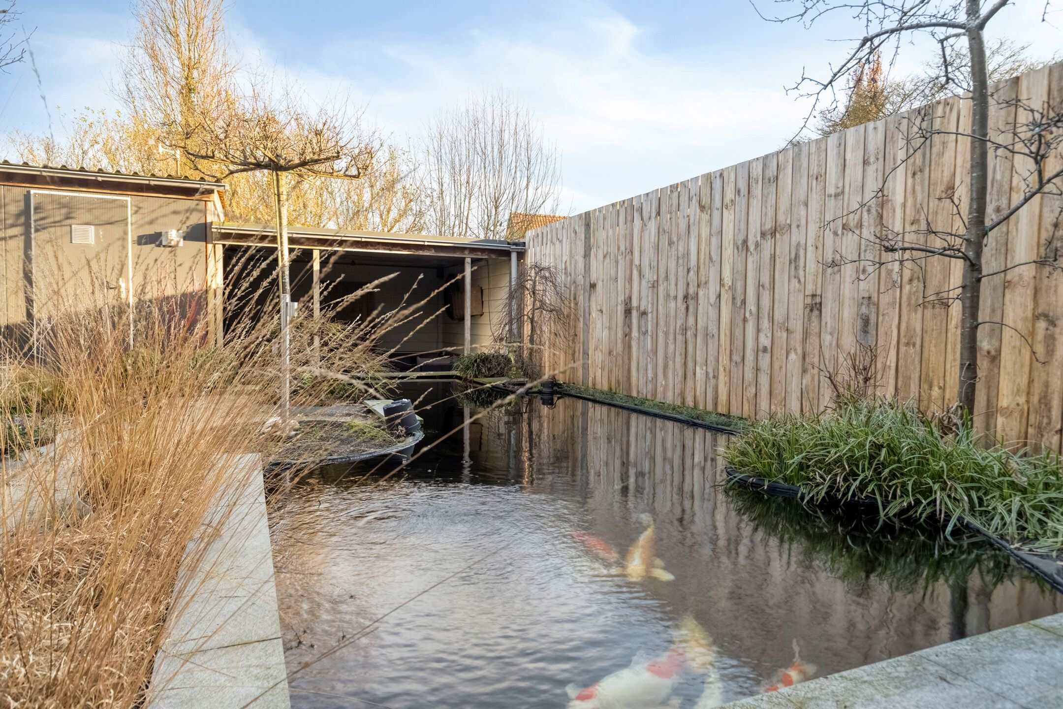 Foto 36 van Goudenregenplantsoen 16