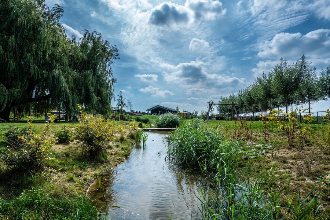 Foto 28 van Vondelstraat 3