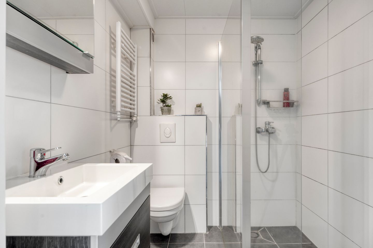 Foto 4 van Struisgras 11