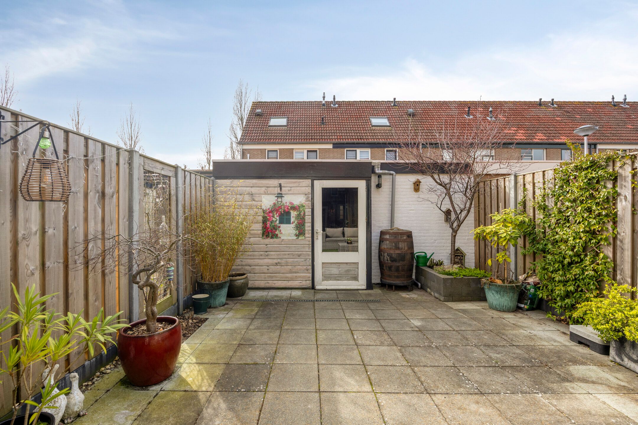 Foto 15 van Struisgras 11