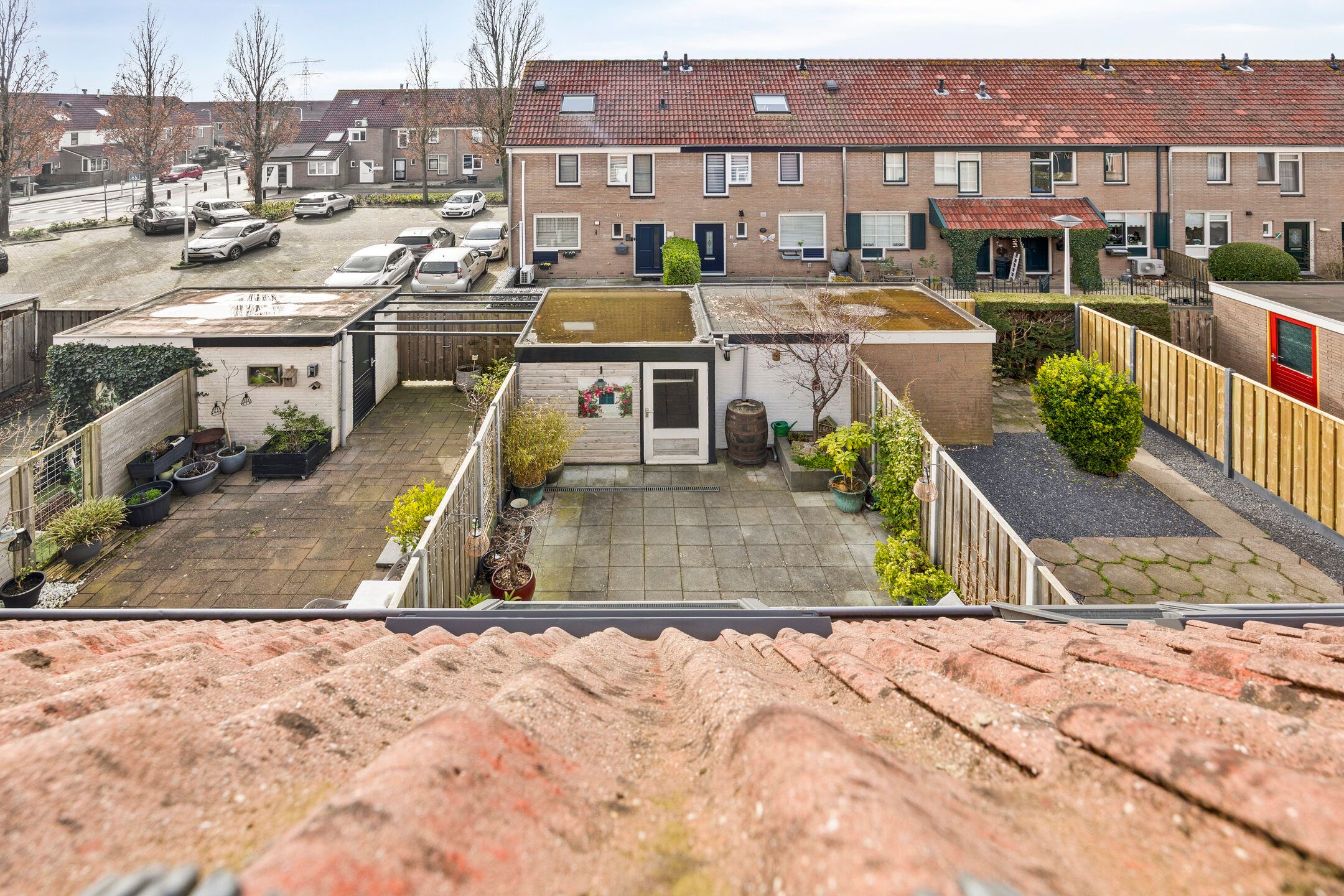 Foto 21 van Struisgras 11