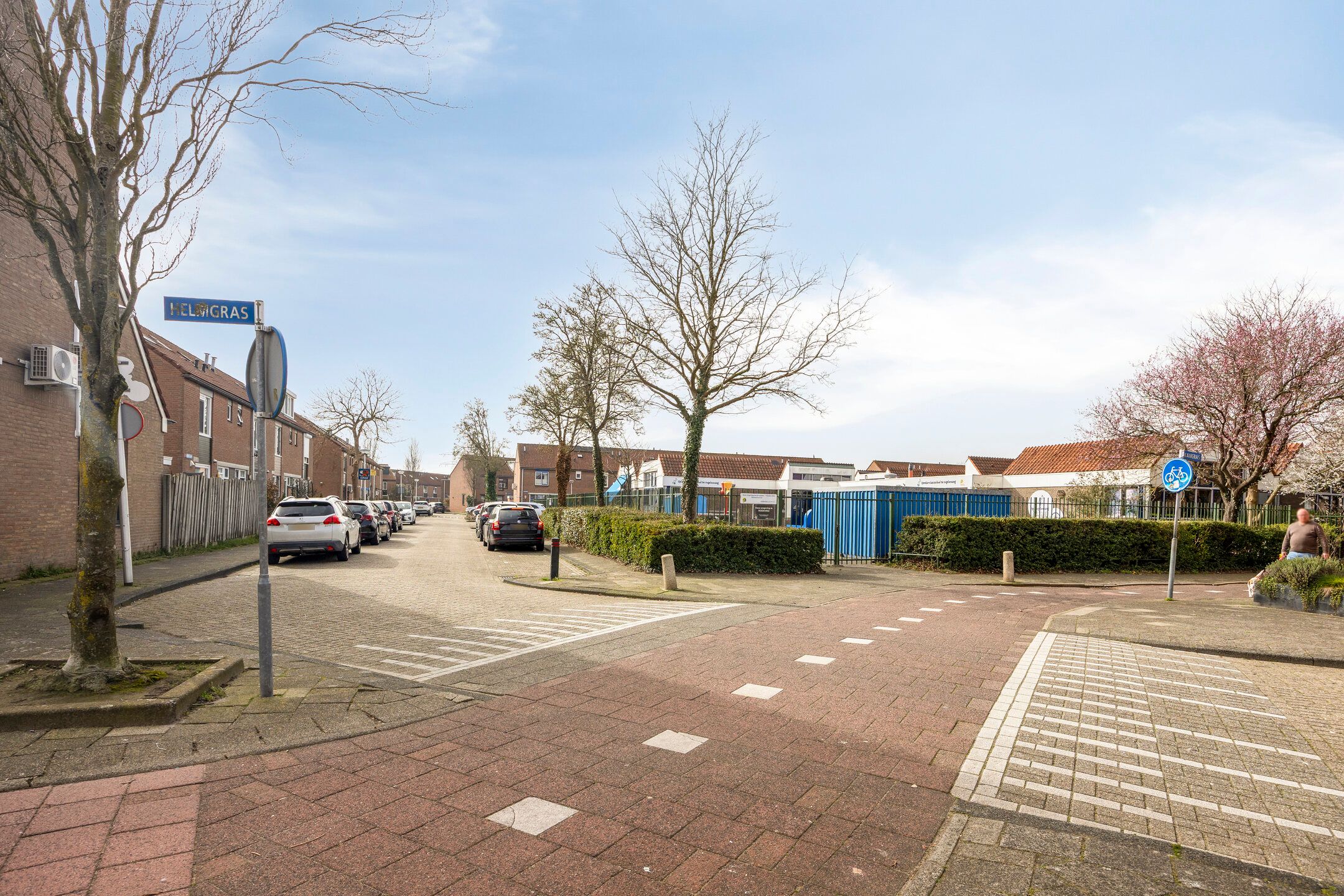 Foto 27 van Struisgras 11