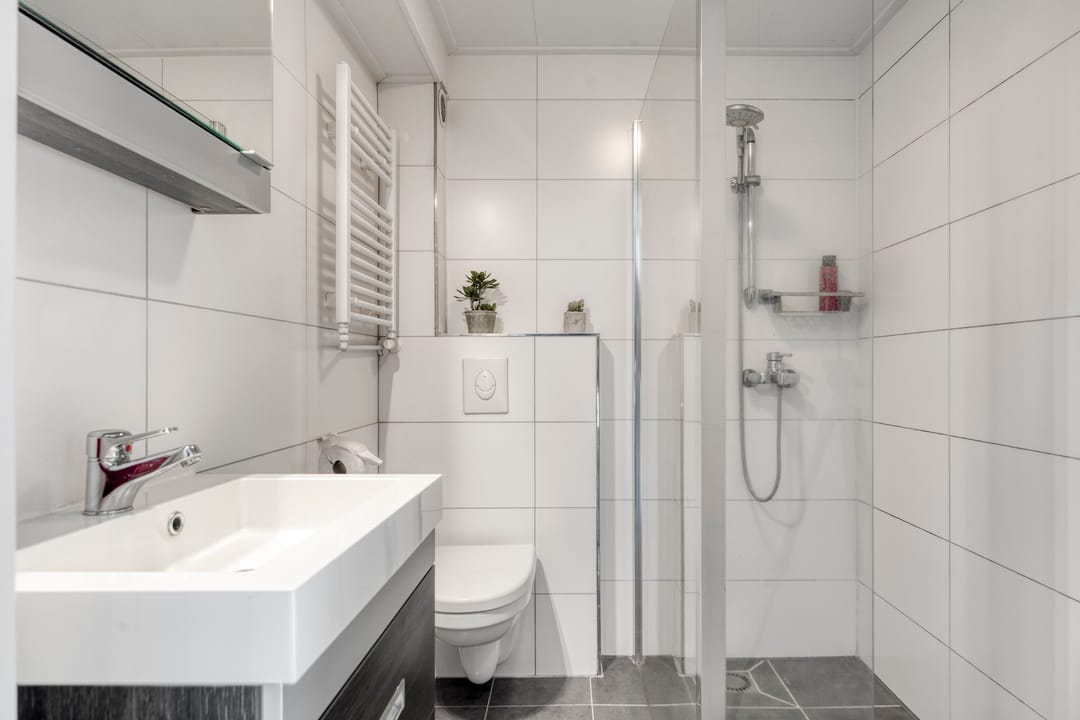 Foto 22 van Struisgras 11