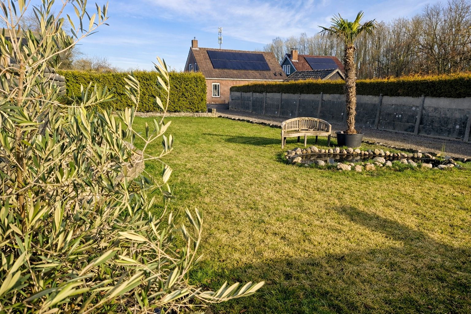 Foto 30 van Goldhoorn 5