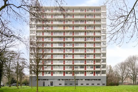 Elviraland thumbnail