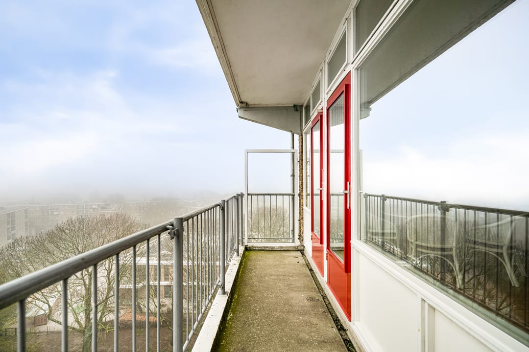 Foto 8 van Elviraland 94