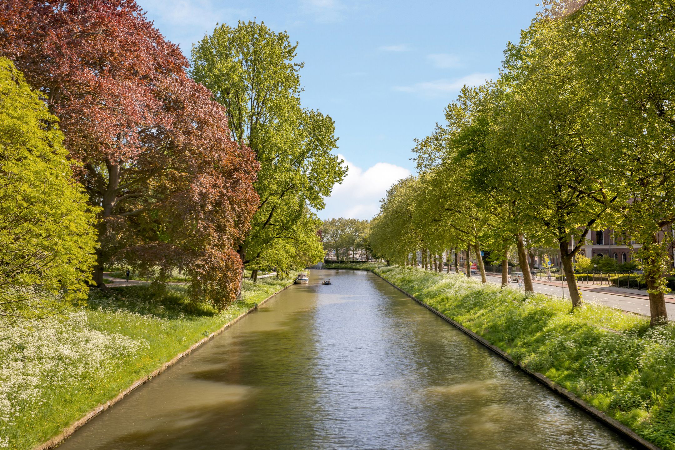 Photo 63 of Arthur van Schendelstraat 233