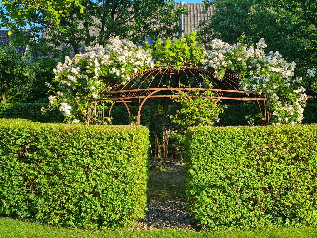 Foto 58 van Kerkdoel 5