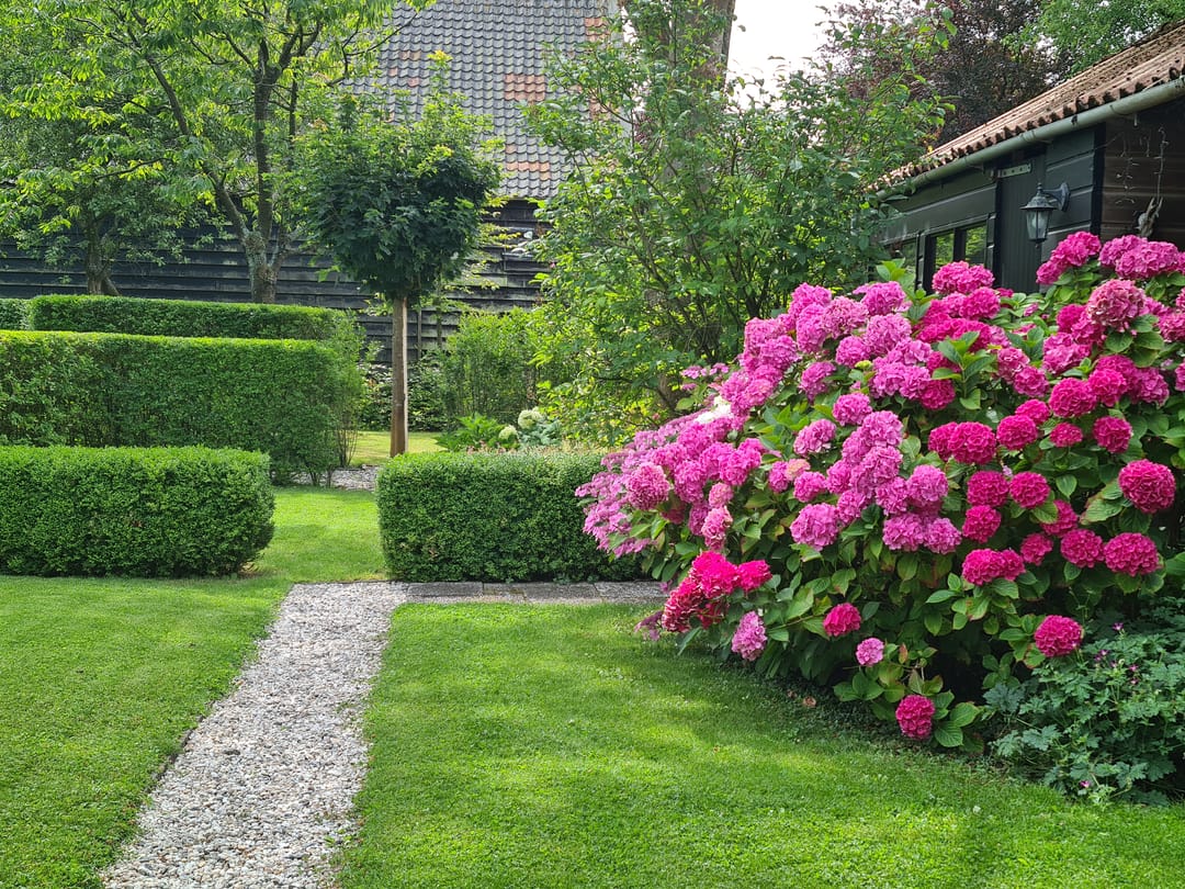 Foto 62 van Kerkdoel 5