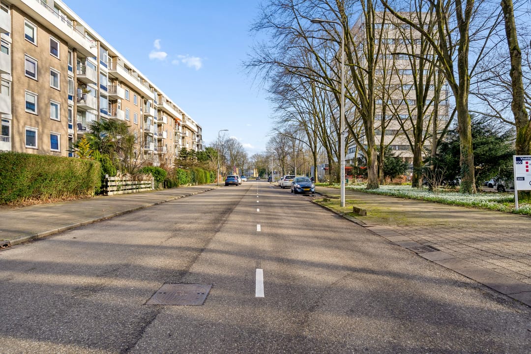 Foto 22 van Ravellaan 149