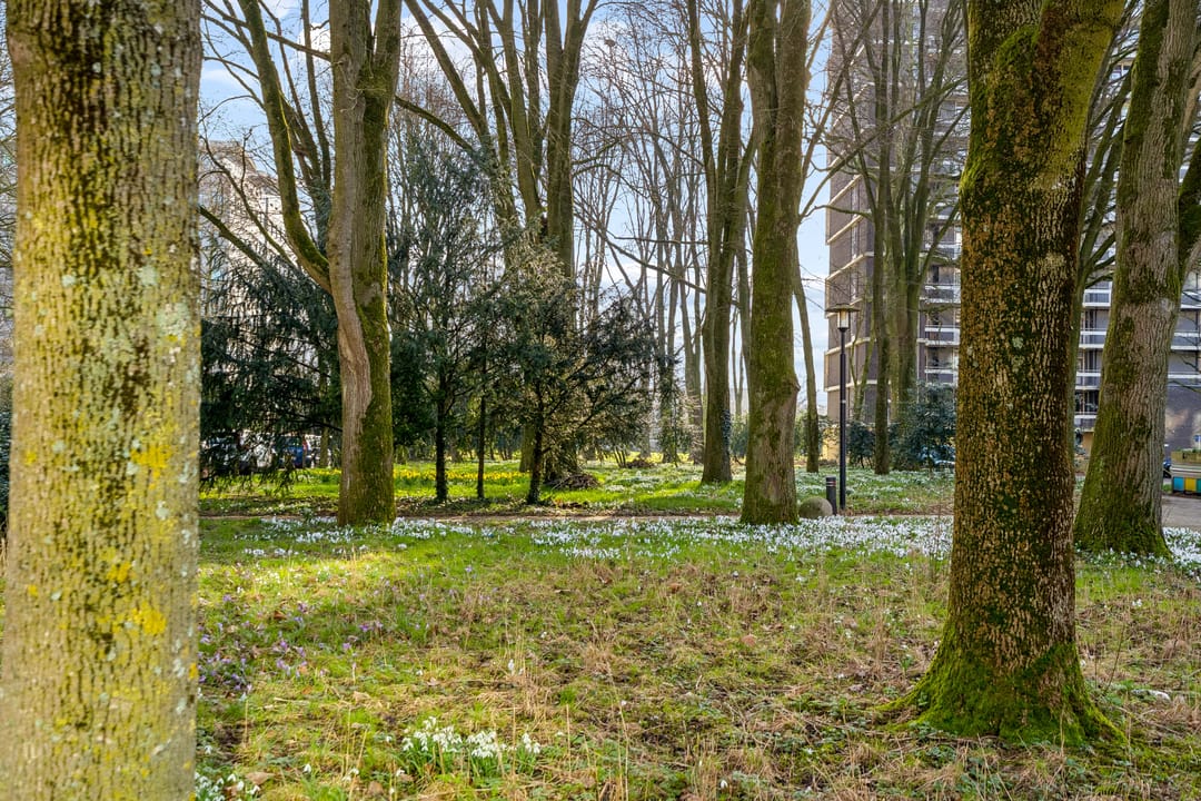 Foto 23 van Ravellaan 149