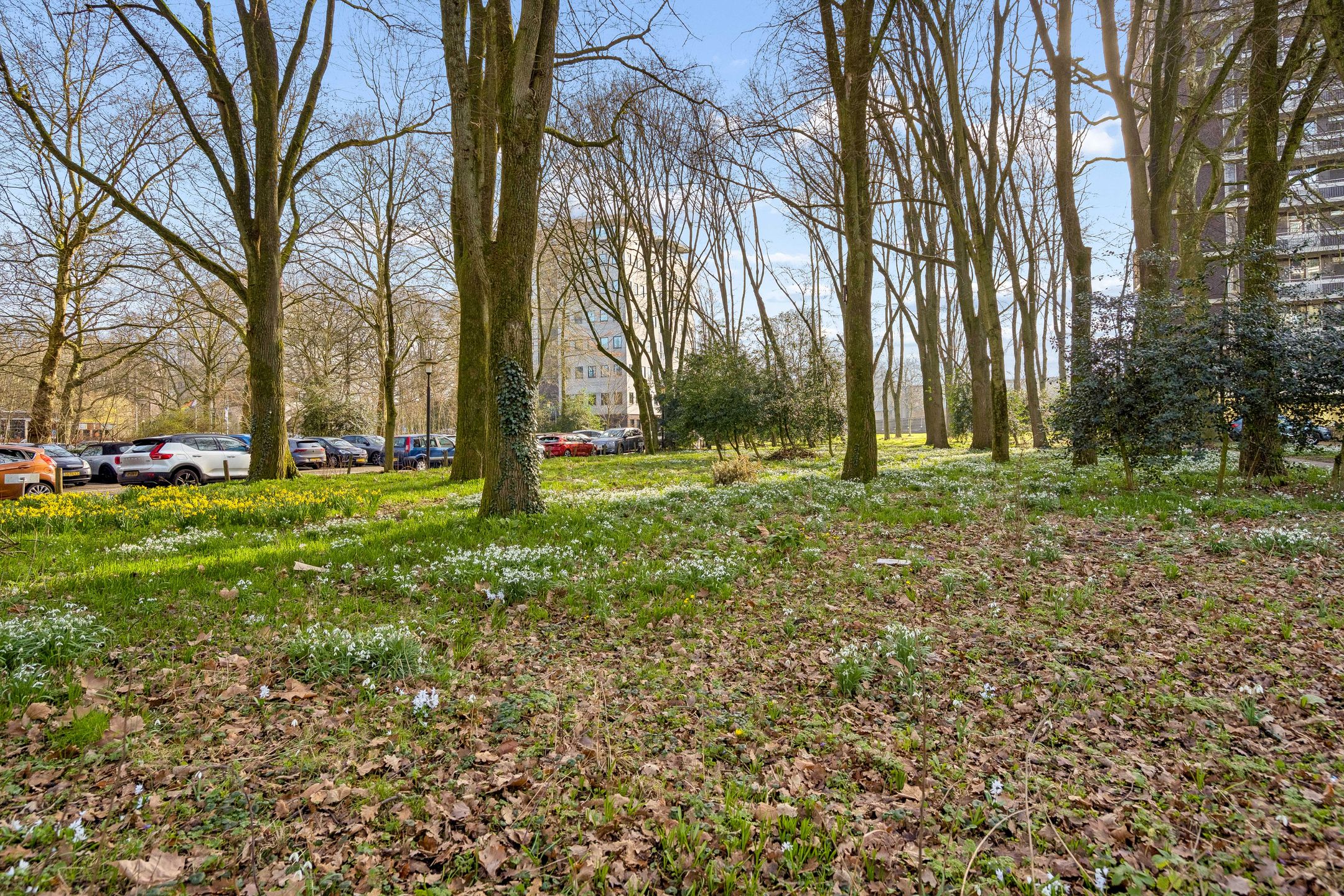 Foto 24 van Ravellaan 149