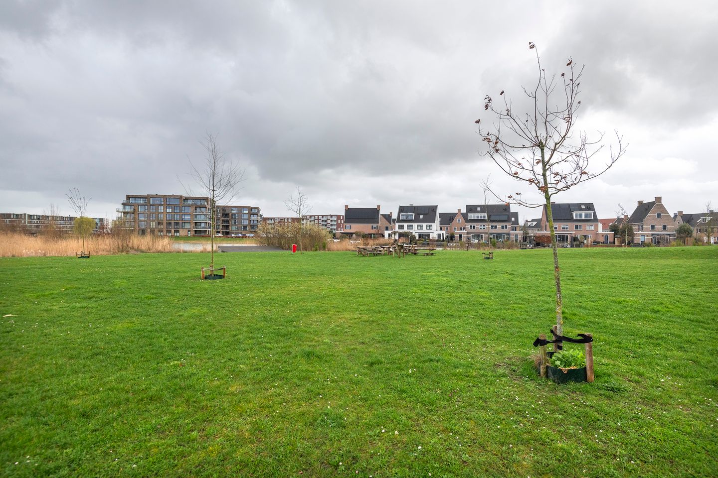 Photo 50 of Kees van Lintstraat 41