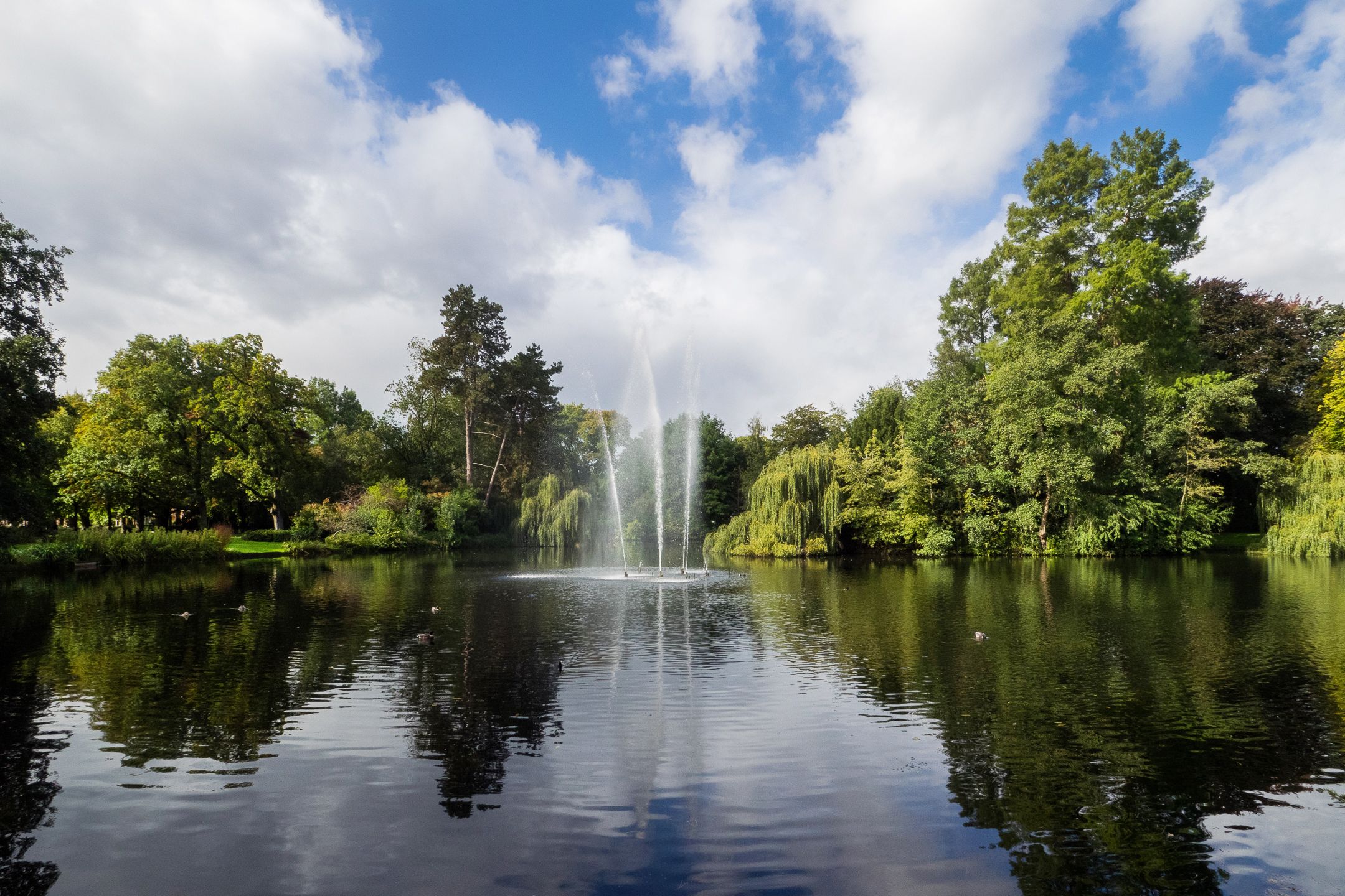 Foto 36 van Oudwijkerdwarsstraat 11